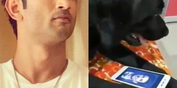Image about Sushant Singh Rajput’s Pet Dog Fudge Dies