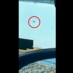 Image about Real Mermaid Sighting in Nashville, Video