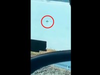 Image about Real Mermaid Sighting in Nashville, Video