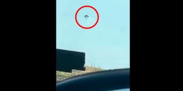 Image about Real Mermaid Sighting in Nashville, Video