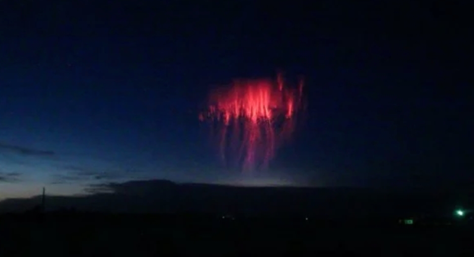 Image of Bright Jellyfish Red Sprites