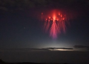 Image of Jellyfish Sprite Photo, Rare Atmospheric Phenomenon in Sky