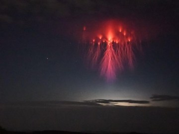 Image of Jellyfish Sprite Photo, Rare Atmospheric Phenomenon in Sky