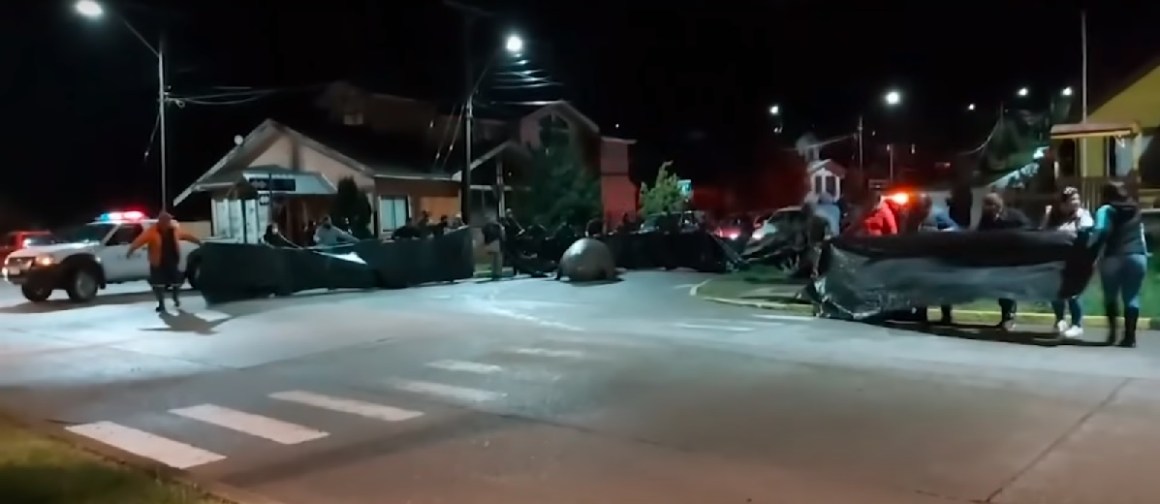 Image of Rescue of the stranded Elephant Seal