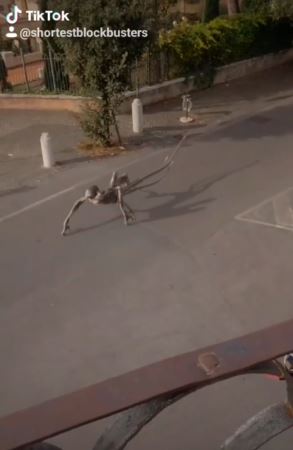 Image about Alien Creature Crossing Road in Idaho, Video
