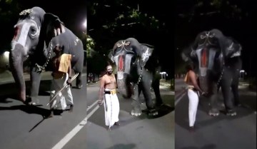 Image about Elephant Talking in Srirangam Temple of Kerala