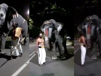 Image about Elephant Talking in Srirangam Temple of Kerala