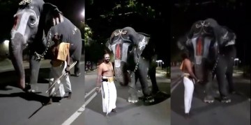 Image about Elephant Talking in Srirangam Temple of Kerala