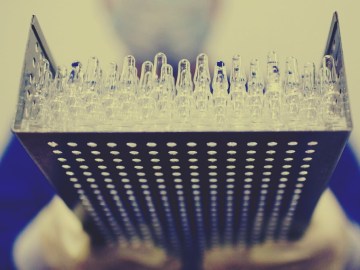 Image of Beware of Fake Coronavirus Vaccines Selling Online and Scams