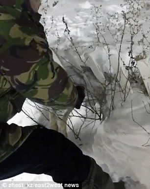 Image about Frozen Hare in Kazakhstan