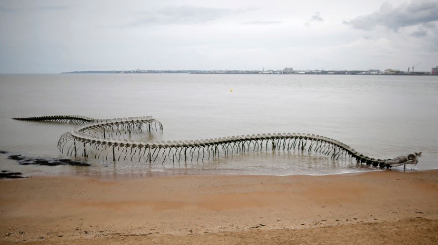 Image of Giant Sea Serpent Skeleton Found on a Beach